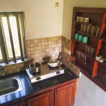 Traditional Villa 蒙纳 外观 照片